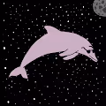 The Dolphin Hideout