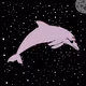The Dolphin Hideout
