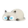 O-Liang Thai cat