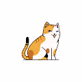 Ciki The Cat