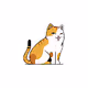 Ciki The Cat