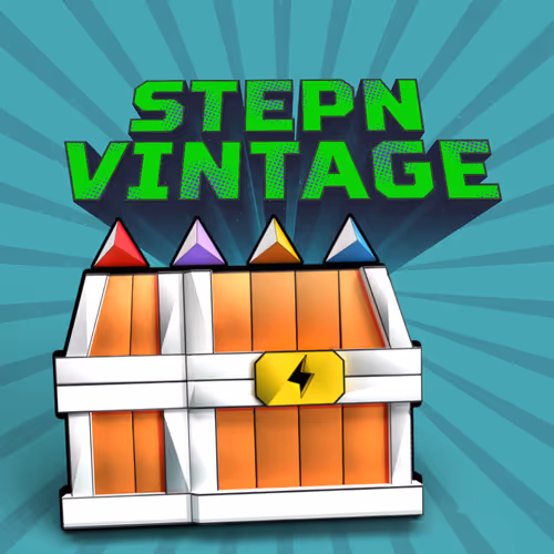Vintage STEPN by ARmandi