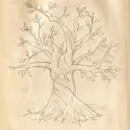 Esoteric Pencil Drawings