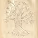 Esoteric Pencil Drawings