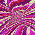 Can you see the Colors