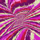 Can you see the Colors