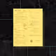 CityDAO Citizenship     .