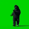 The Strong Gorilla Collection