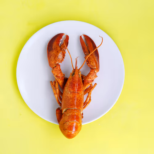 Lobsters V3