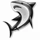 Sea Dogs (Sharks)