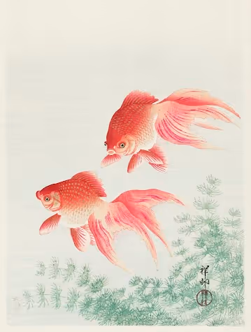 Golg Fish