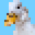CryptoDuckNFT