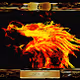 Expo Gallery Series