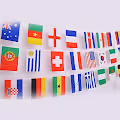 World Flag Project
