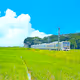 nostalgic JPN