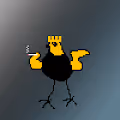 Chicken Doodlez