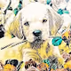 Puppheyz