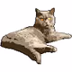 DANGGUI-CAT