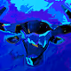 Blue Buffalo
