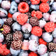 Nature Berries