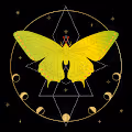 Mysteries Alchemy Collection