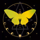 Mysteries Alchemy Collection
