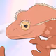 Crypto lizard Crested gecko