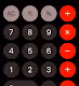 The~Fibonacci Sequence
