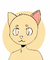 All Cats NFT