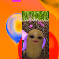 BirthdayNFTs