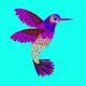 Birds  NFT