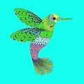 Birds  NFT
