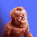 Alpha Ape Club