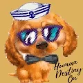 Destiny Dog