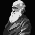 Darwin Charles