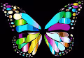 Mystic Butterflies