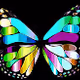 Mystic Butterflies