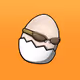 sunglasses egg collection