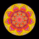 PSY Mandala Collection