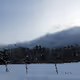 Boreal 30 to 39