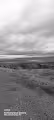 Black and grey scale photos.