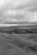 Black and grey scale photos.
