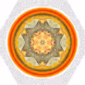 Collection in a circles