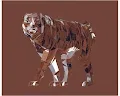 Bob's Bear