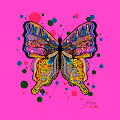 Butterfly Collection of Kurumi