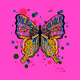 Butterfly Collection of Kurumi