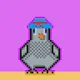 Cryptopigeon#