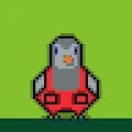 Cryptopigeon#