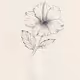 Flower from the Garden