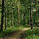 Fairy Tale Collection#1